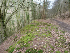The Gwyddon trial level tip, Abercarn, March 2012